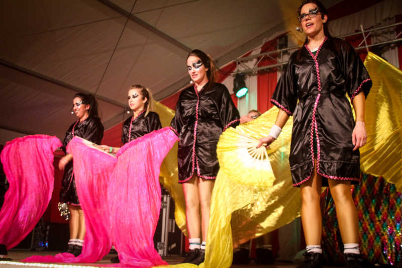 12-Ladies-Night-Mersch-Pattern-132