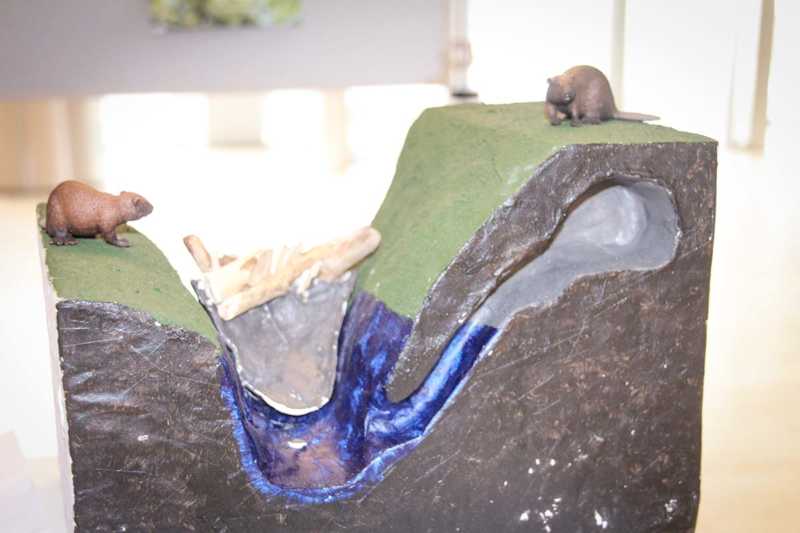 FZJ-Jugend-Forscht-Juelich-018