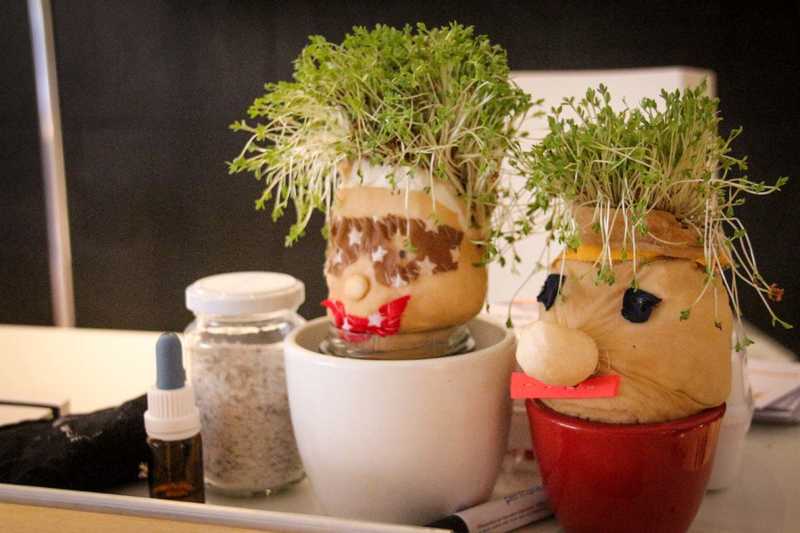 FZJ-Jugend-Forscht-Juelich-026