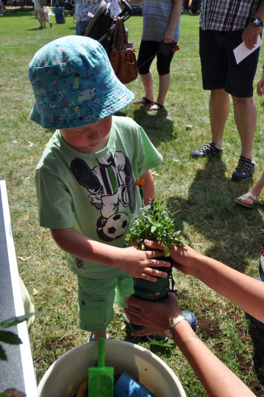 Wenn-Kinder-feiern-lacht-die-Sonne-COLLAGE-6-Kopie