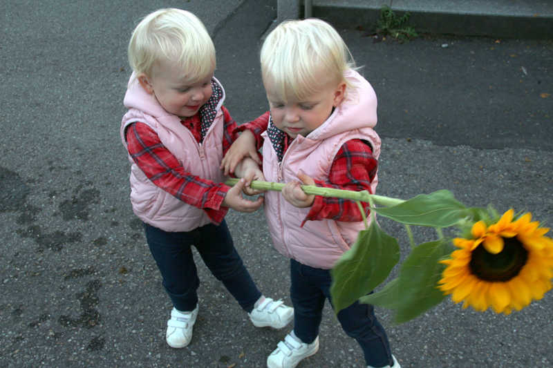 Gäste-IMG_7615Zwillinge-1