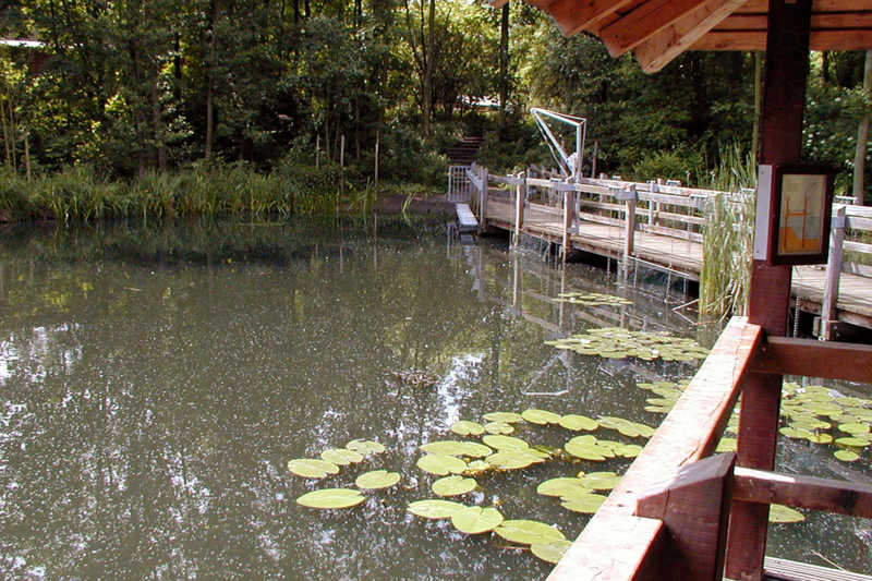 Der Park aus außerschulischer Lernort: Der Wasserschulgarten 2003. Foto: Archiv Manuela und Heinrich Horrig