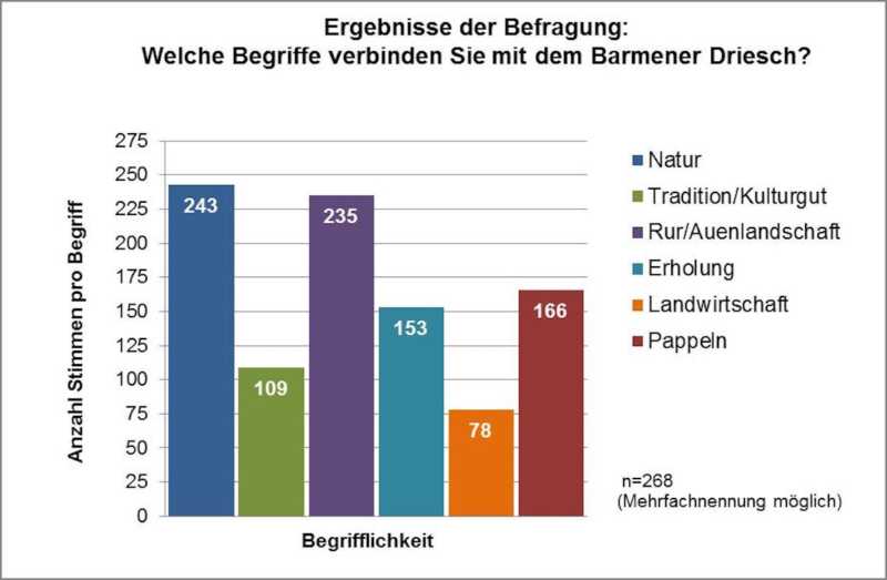 Diagramm-2-Begriff-Kopie