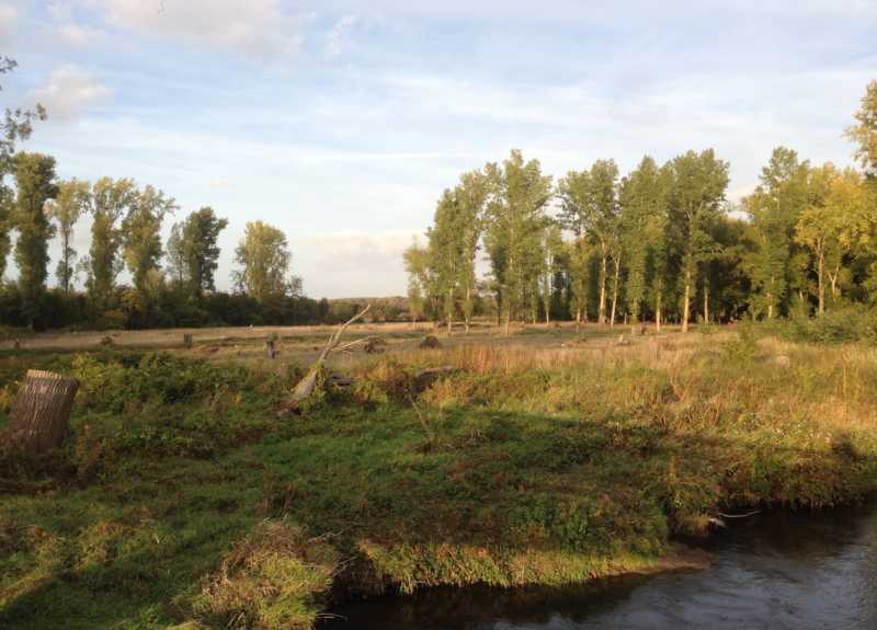 PHOTO-1-Testfläche-1-Kopie