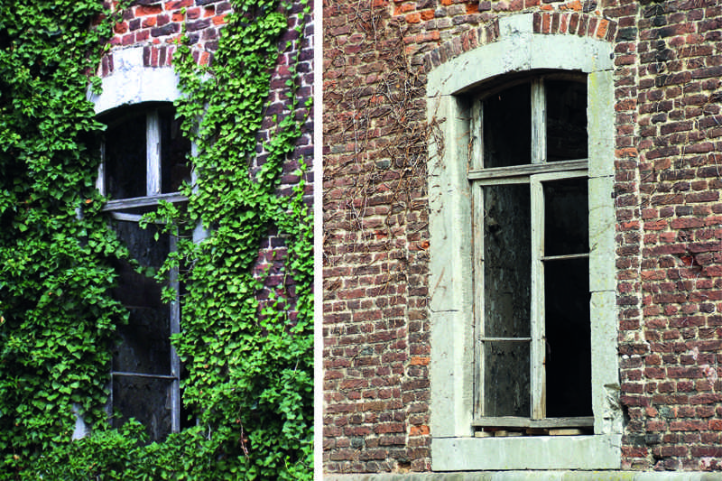 Fenster