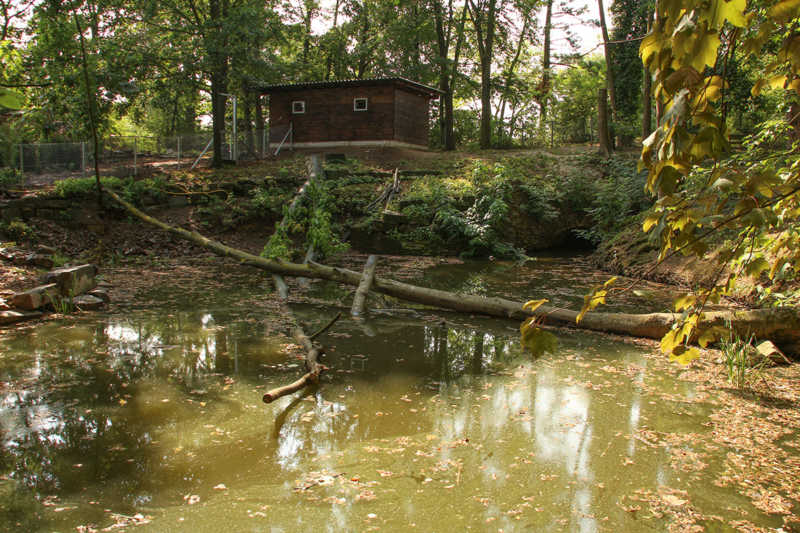 IMG_9864-Ottergehege-2k