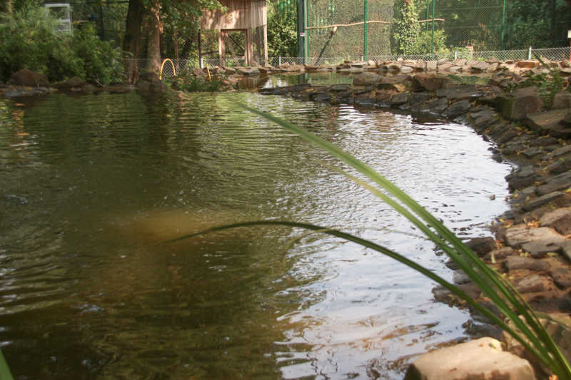 IMG_9888-Ottergehege-k