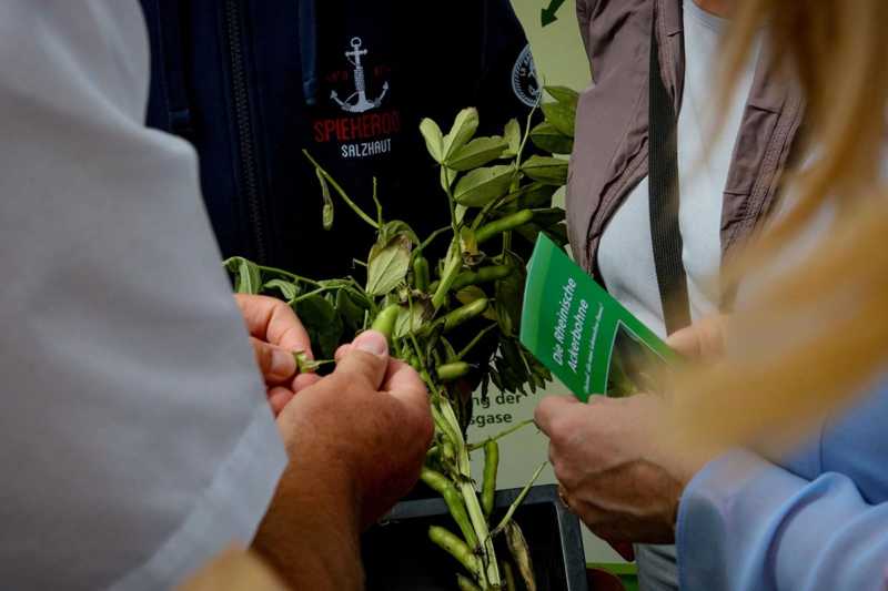 Tag-der-Neugier-FZ-Juelich-web-067