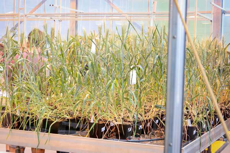 Tag-der-Neugier-FZ-Juelich-web-070