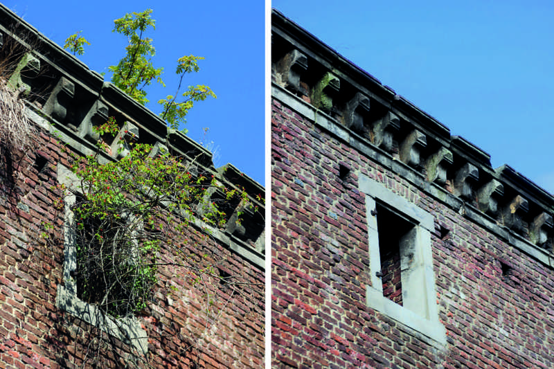 Turm-1-Gartenseite-Baum