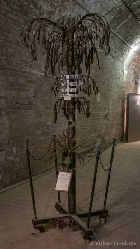 20190908-112713-c-Volker-Goebels-006-sRGB