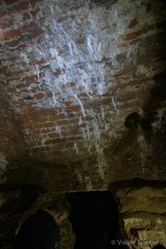 20190908-132525-c-Volker-Goebels-040-sRGB