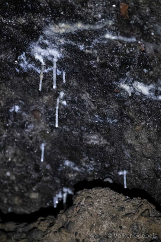 20190908-132847-c-Volker-Goebels-041-sRGB