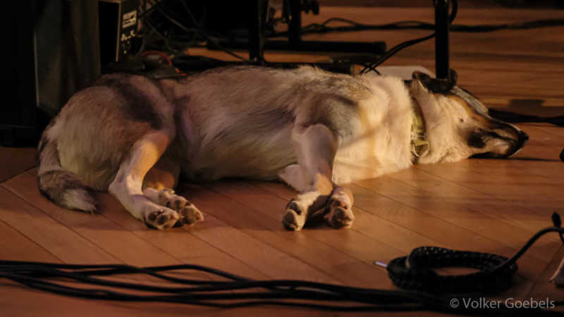 20190920-205546-c-Volker-Goebels-088-sRGB