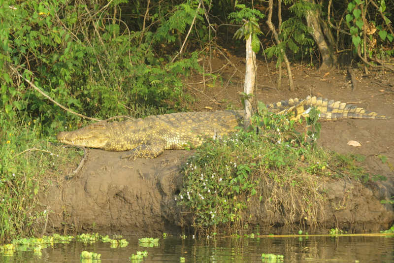 SAfari-Uganda-13_Wochenende_9