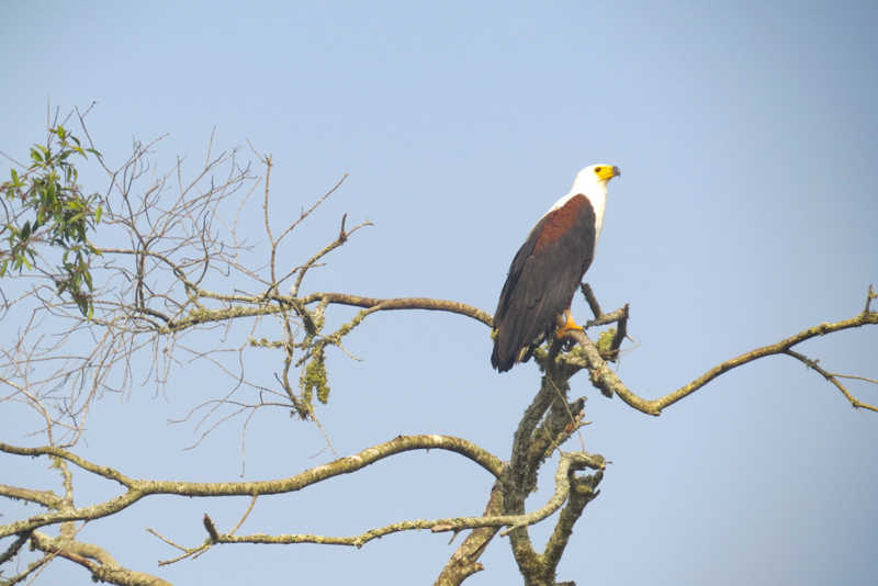 Safari-Uganda-13_Wochenende_7