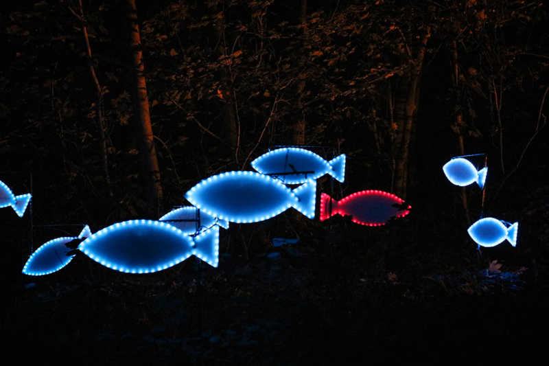 Herbslichter-Brueckenkopfpark-juelich-2019-26