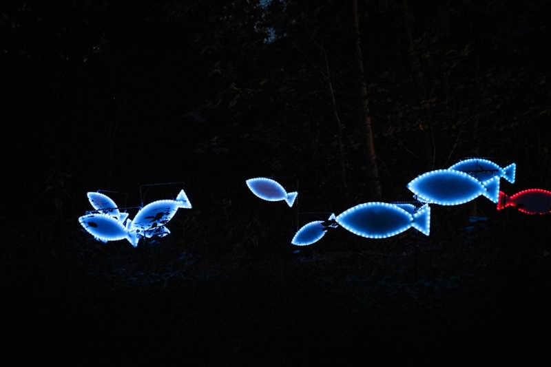 Herbslichter-Brueckenkopfpark-juelich-2019-27