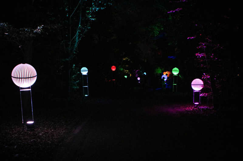 Herbslichter-Brueckenkopfpark-juelich-2019-31