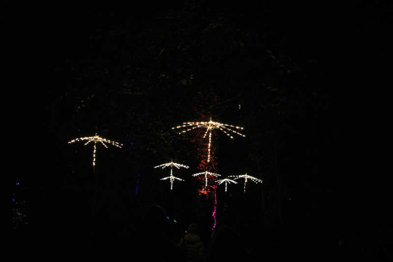 Herbslichter-Brueckenkopfpark-juelich-2019-32