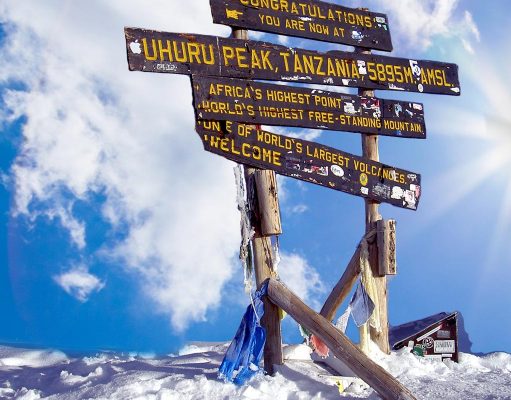 Pole Pole, Pickel, Tor