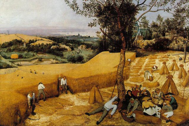 Les moissonneurs - Brueghel