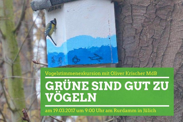 Nistkasten am Rurdamm | Foto: BI Kastanienallee Rurdamm