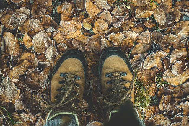 Wanderschuhe geschnürt und los geht's. Foto: pixabay