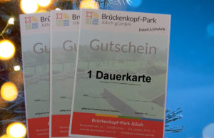 Für die kommende Saison werden die Dauerkarten zu 19,99 Euro angeboten. Foto: Brückenkopf-Park
