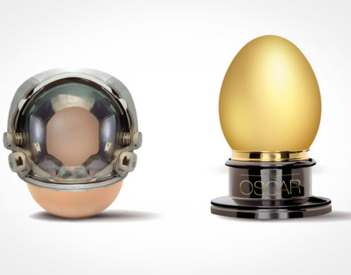 …wie ein Ei dem anderen Jedes Ei ist anders | Grafik: HZG