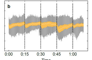 Frequenzmessungen in Deutschland aus dem Jahr 2015 (Daten: 50Hertz): Die Stromnetzfrequenz schwankt um 50Hz im europäischen Stromnetz und zeigt große Sprünge insbesondere bei den Handels-Intervallen von 15 Minuten. Meist bleibt die Netzfrequenz innerhalb des gelben Bereichs, doch Ausreißer nach oben und unten (grau) sind vor allem alle 15 Minuten sehr wahrscheinlich. Copyright: MPI für Dynamik und Selbstorganisation / Benjamin Schäfer