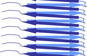 Schematische Darstellung von Amyloid-Fibrillen mit parallel verlaufenden beta-Faltblättern, wie sie auch in dem untersuchten Prion vorliegen. Copyright: HHU / Henrike Heise