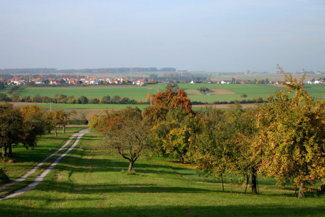 Streuobstwiese. Foto: catkin/pixabay