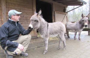 Zooleiter Fischer mit Eselfohlen Sweety. Fotos René Blanche