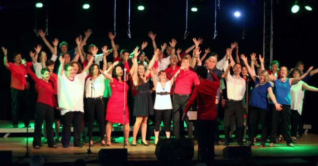 Der Chor TonArt beim Auftritt im Sommer 2017 Foto: Guido Kehmer