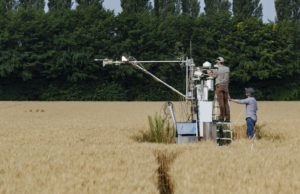 Feldversuch nahe Jülich: Mit MOSES soll eine Forschungslücke geschlossen werden. Copyright: Forschungszentrum Jülich / Ralf-Uwe Limbach