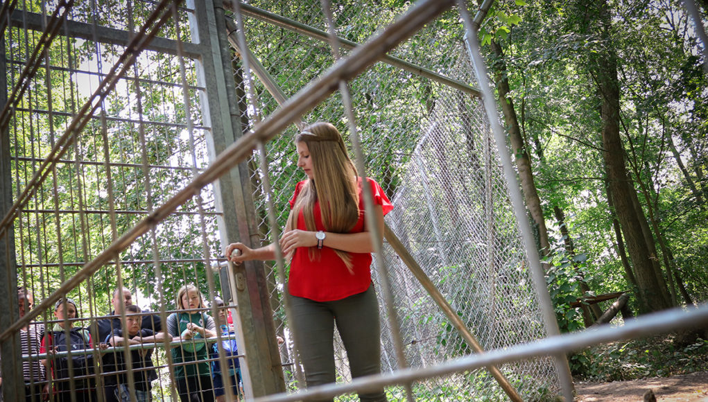 Weinprinzessin Alina Scholtes im Wolfsgehege des Brückenkopf-Park Jülich | Foto: HZGM