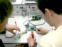 Foto: delphinmedia /pixabay