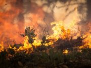 Zeugen gesucht: Brände am Rurufer Foto: skeeze/ pixabay