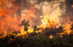 Fahrlässigkeit ist auch strafbar Foto: skeeze/ pixabay