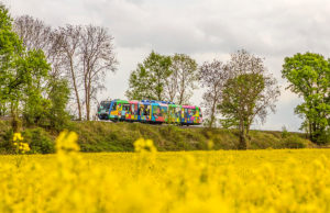 Foto: Sebastian Petermann