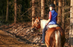 § 58 des Landschaftsschutzgesetzes regelt das Reiten in Wald und Natur. Foto: privat