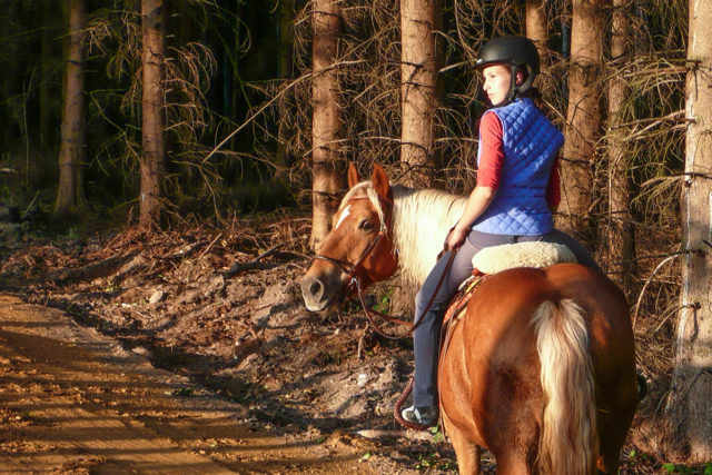 § 58 des Landschaftsschutzgesetzes regelt das Reiten in Wald und Natur. Foto: privat