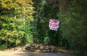 Transparent im Hambacher Wald am Mittwoch – einen Tag vor dem Beginn der Räumung. Fotos: Dorothée Schenk