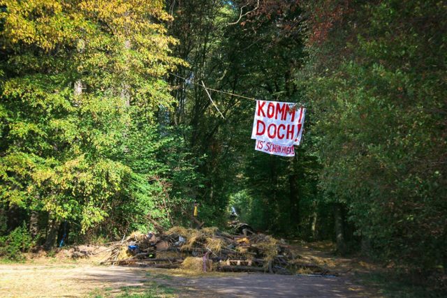 Transparent im Hambacher Wald am Mittwoch – einen Tag vor dem Beginn der Räumung. Fotos: Dorothée Schenk