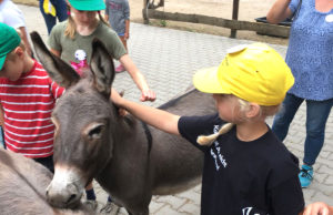 Die flauschigen Esel genossen die Streicheleinheiten. Foto: Stadt Jülich