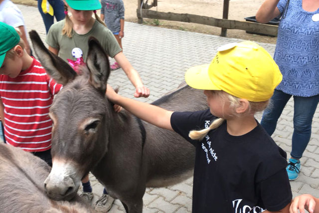 Die flauschigen Esel genossen die Streicheleinheiten. Foto: Stadt Jülich