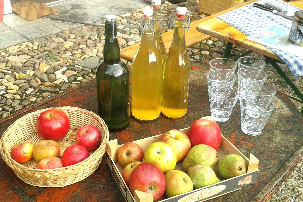 Wie Heimat schmeckt erfahren Interessierte, die sich auf Schloss Kellenberg frisch gepressten Apfelsaft herstellen lassen. Foto. Verein