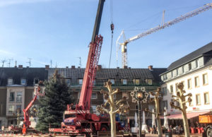 15 Meter hoch und in Welldorf gewachsen: Der Tannenbaum auf dem Marktplatz von Jülich. Foto: tee