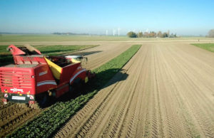 Zuckerrübenernte Gut Marienfeld | Foto: Olaf Kiel